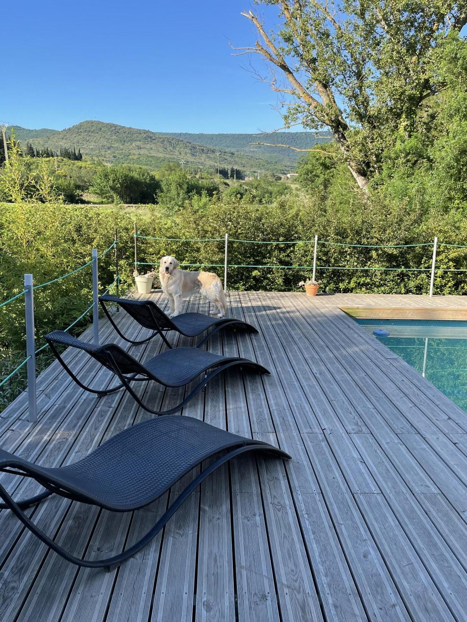 Le Domaine De La Tuilerie - Gite De Charme En Bord De Riviere Avec Piscine Servies-en-Val Exterior foto