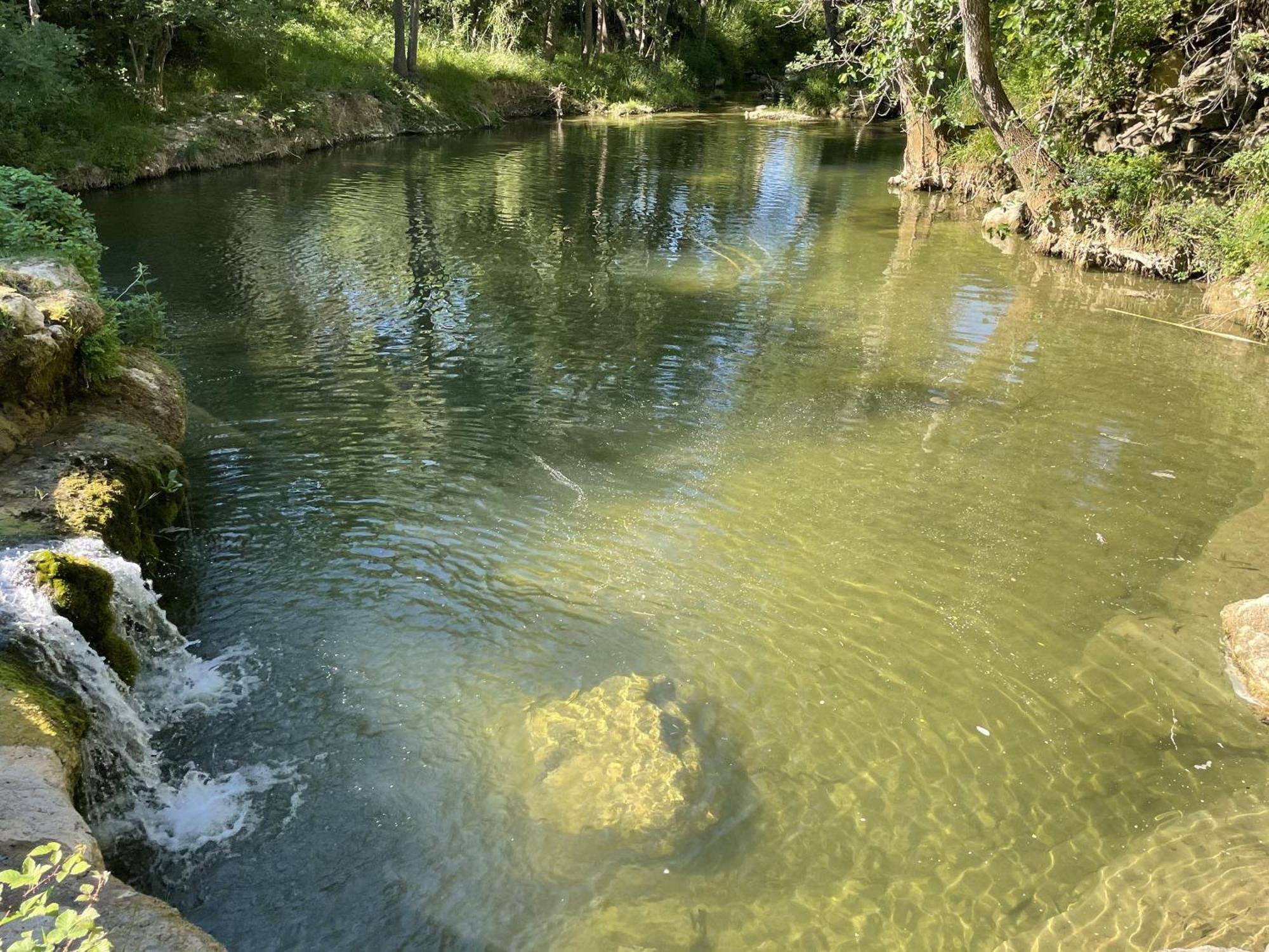 Le Domaine De La Tuilerie - Gite De Charme En Bord De Riviere Avec Piscine Servies-en-Val Exterior foto