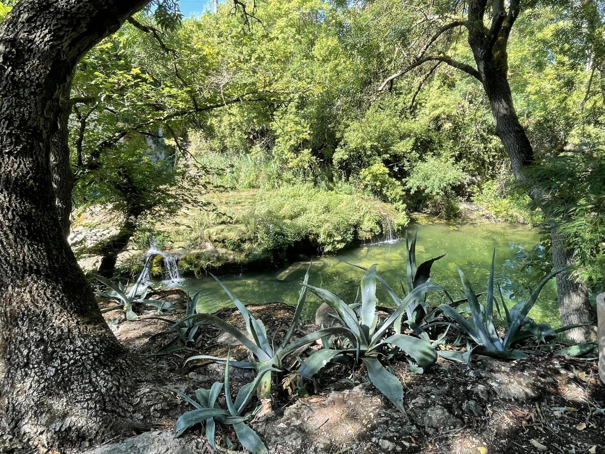 Le Domaine De La Tuilerie - Gite De Charme En Bord De Riviere Avec Piscine Servies-en-Val Quarto foto